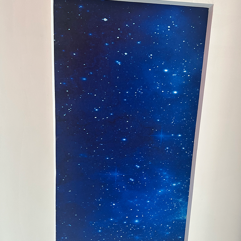 Plafoniere a stella moderne RGBW dal design personalizzabile in fibra ottica, modello 3D per soluzioni grafiche personalizzate dell'hotel Plafoniere a stella moderne RGBW dal design personalizzabile in fibra ottica, modello 3D per soluzioni grafiche personalizzate dell'hotel